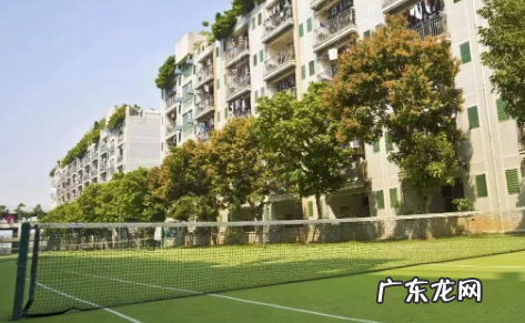 福建晋江大学在哪里,福州大学晋江校区怎么样知乎