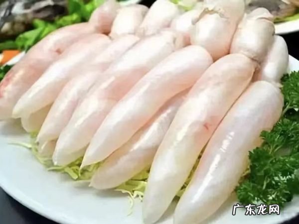 鱼鳔是什么 鱼鳔介绍,鱼鳔是什么