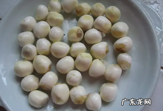 莲子熬汤需要泡发多久,莲子煲汤要提前泡多久