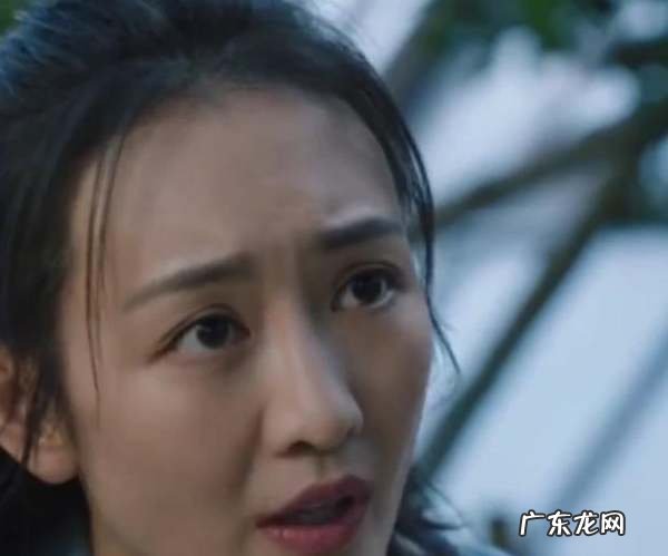 电视剧猎狐内鬼是谁,猎狐中王柏林的扮演者叫什么名字