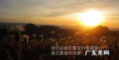 小鸟的励志名言,有关于鸟的励志名句