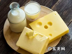 乳制品有哪些食物,奶制品有哪些食物