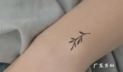 草本纹身贴怎么快速去除,纹身贴怎么样才能洗掉