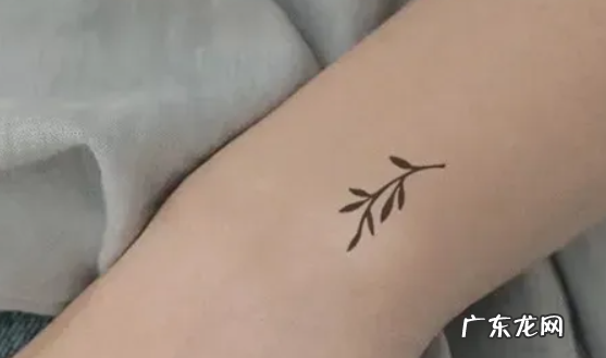 草本纹身贴怎么快速去除,纹身贴怎么样才能洗掉