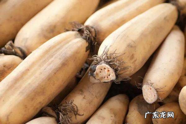 莲藕七孔和九孔的区别,莲藕七孔和九孔的区别哪些是炖汤的