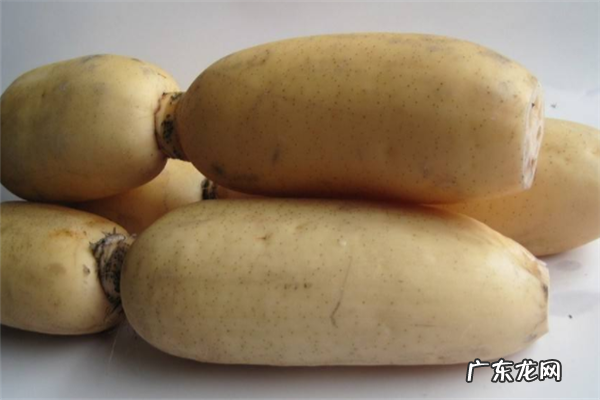 莲藕七孔和九孔的区别,莲藕七孔和九孔的区别哪些是炖汤的