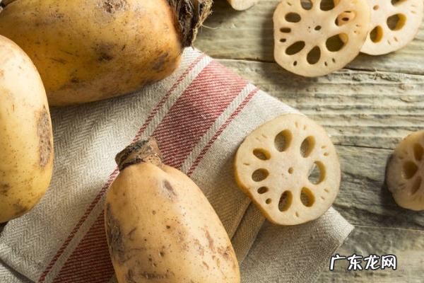 莲藕七孔和九孔的区别,莲藕七孔和九孔的区别哪些是炖汤的