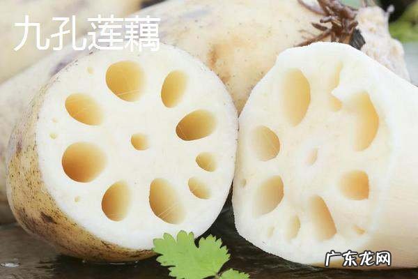 莲藕七孔和九孔的区别,莲藕七孔和九孔的区别哪些是炖汤的