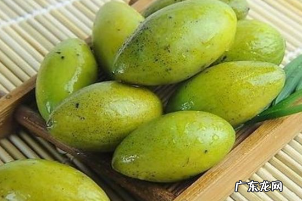 金香榄可以直接吃,橄榄果怎么吃