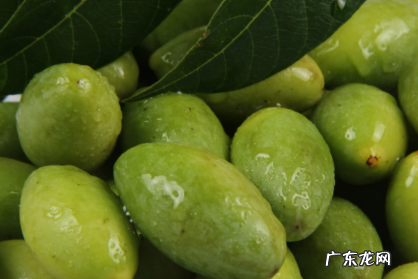 金香榄可以直接吃,橄榄果怎么吃