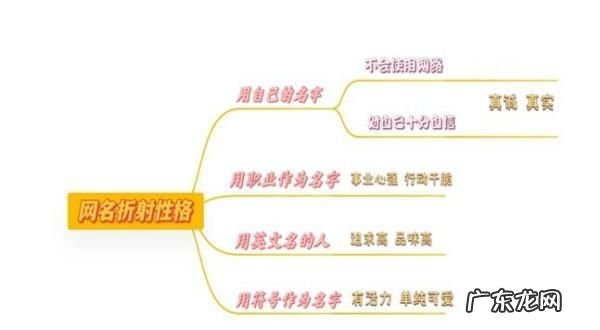 猫丞和兔飞什么梗 啥意思,撒野讲的什么