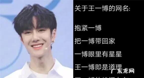 猫丞和兔飞什么梗 啥意思,撒野讲的什么