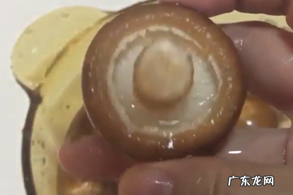 新鲜香菇怎么洗才干净,鲜香菇怎样清洗才能干净