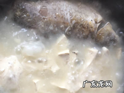 鱼头豆腐汤能放西红柿,鱼和西红柿可以一起煮汤