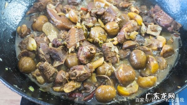 炖大鹅怎么做好吃,怎样炖鹅肉好吃又烂得快