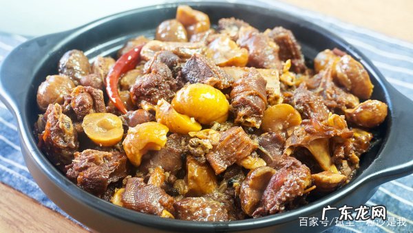 炖大鹅怎么做好吃,怎样炖鹅肉好吃又烂得快