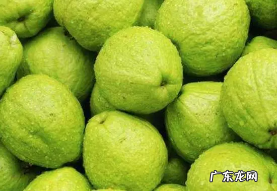 番石榴去皮后还有营养,吃番石榴要削皮