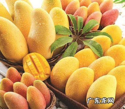芒果的营养 芒果有什么营养,芒果含什么营养成分