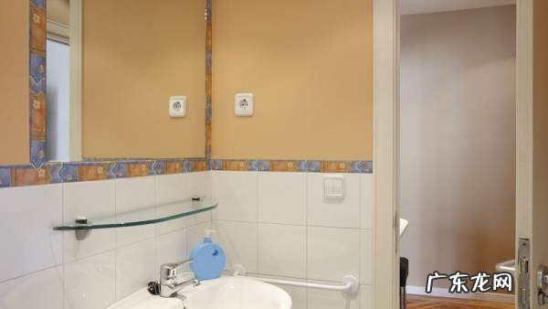 厕所飞的小黑虫是什么,卫生间洗手池反味怎么处理