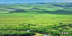 中国大草原有哪些,中国大草原有哪些地方