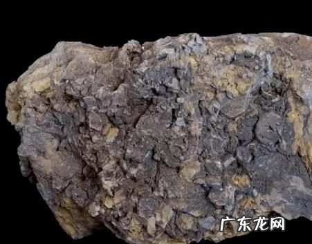 岩石的主体是哪一类岩,什么是三大岩石类的主体