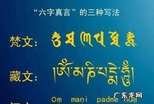 哦嘛咪嘛咪呗呗哞是什么意思,哦妈咪妈咪贝贝哄啥意思