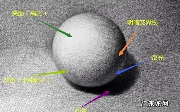 明暗素描中五大调子是什么,什么是素描五大调子