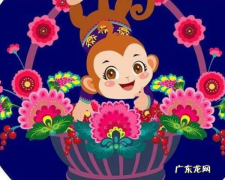 992属什么,92年属什么生肖属相