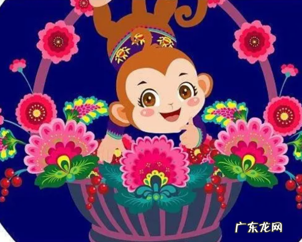 992属什么,92年属什么生肖属相