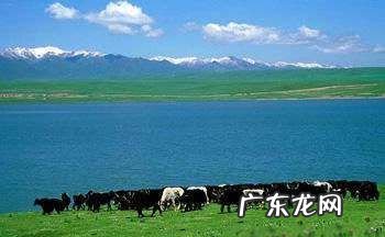 中国三大草原是指哪三大,三大草原是哪三大草原日常生活吃什么