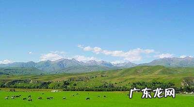 中国三大草原是指哪三大,三大草原是哪三大草原日常生活吃什么