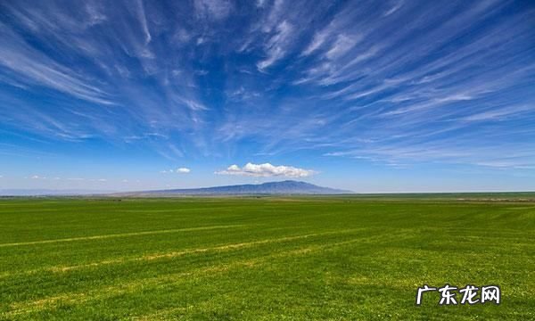 中国三大草原是指哪三大,三大草原是哪三大草原日常生活吃什么