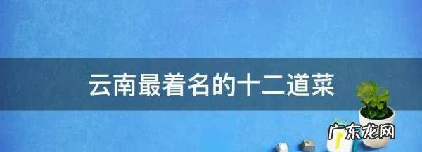 云南吃的是什么菜系,云南的是什么菜系