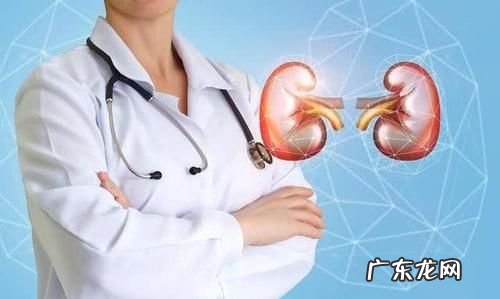 如何知道肾好不好,男人肾不好十大特点