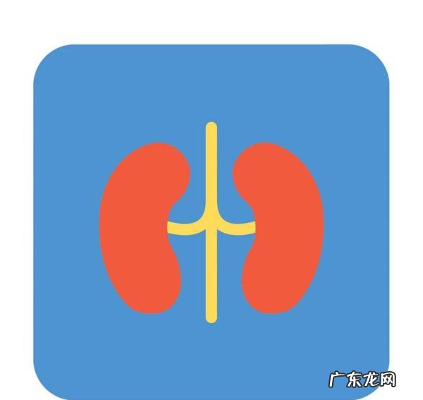 如何知道肾好不好,男人肾不好十大特点