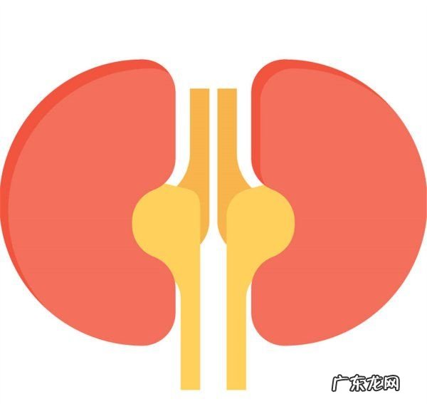如何知道肾好不好,男人肾不好十大特点