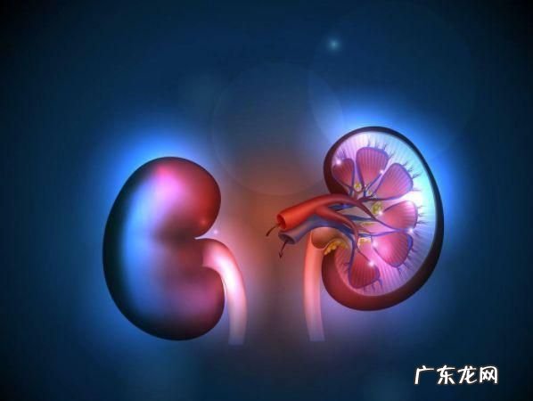 如何知道肾好不好,男人肾不好十大特点