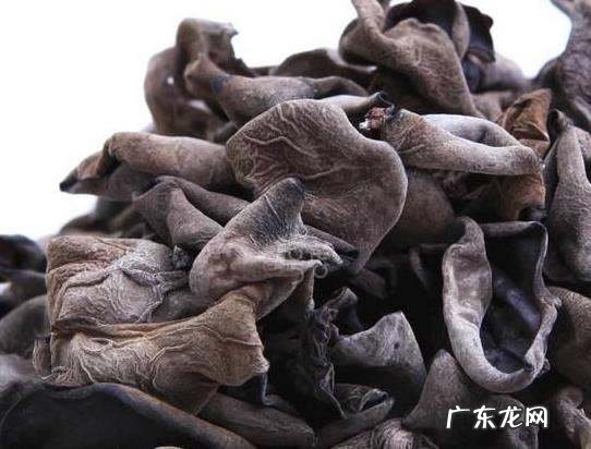 普通木耳和秋木耳有什么区别,秋耳和木耳有什么区别