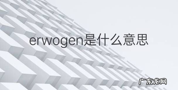 ER是什么意思,er模型中er是什么意思