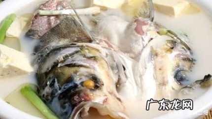鱼头豆腐汤可以放牛奶,鱼头豆腐汤的家常做法简单