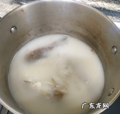 鱼头豆腐汤可以放牛奶,鱼头豆腐汤的家常做法简单