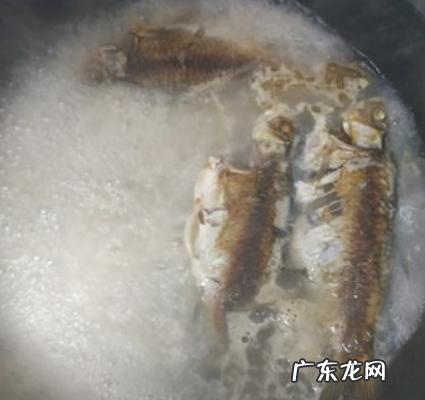 鱼头豆腐汤可以放牛奶,鱼头豆腐汤的家常做法简单