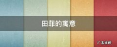 田菲的寓意