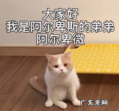 网络卑微是什么梗 啥意思,卑微是什么意思