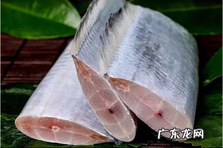 常吃的鱼有哪些,常吃的鱼有哪些