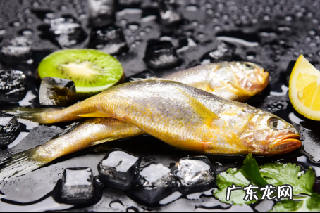 常吃的鱼有哪些,常吃的鱼有哪些