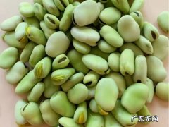 蚕豆煮多久可以熟,蚕豆要煮多久