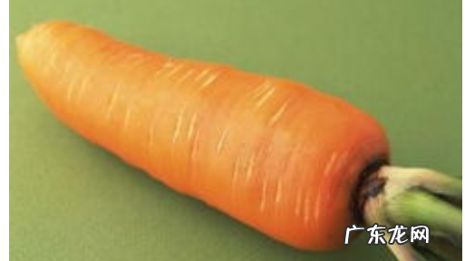 胡萝卜有脂肪吗?,胡萝卜 营养成分