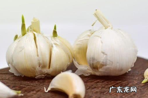 放了一个月的大蒜还能吃,蒜放多长时间就不能吃了