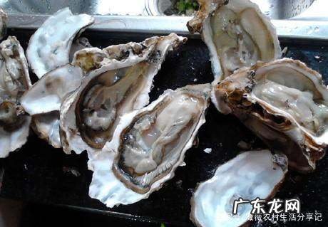 带壳的生蚝要蒸多长时间,生蚝要蒸多久才能蒸熟
